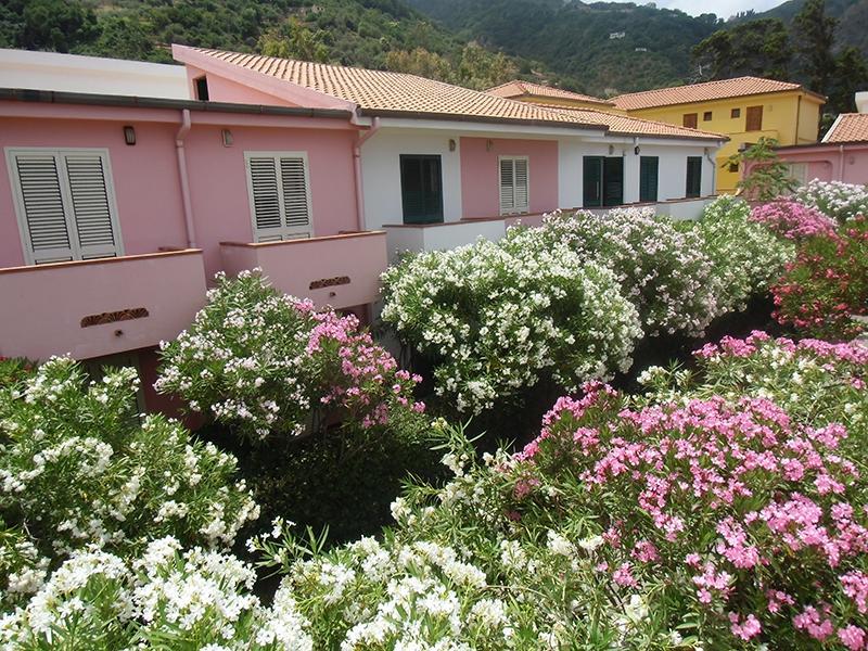 Villaggio Hotel Club Calanovellamare Piraino Exteriér fotografie