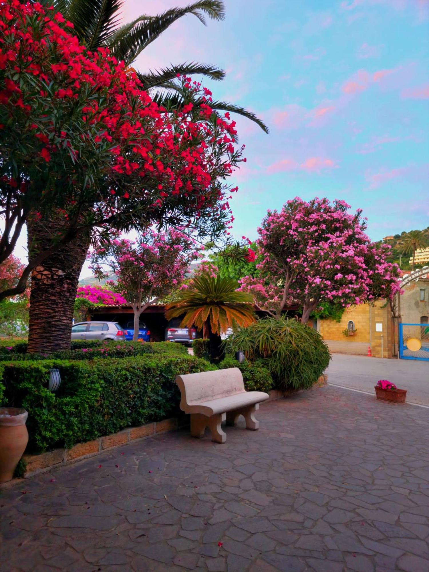 Villaggio Hotel Club Calanovellamare Piraino Exteriér fotografie